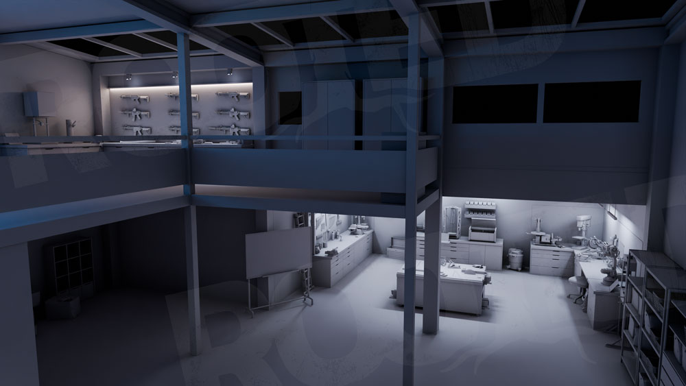 Q&A with Rooted Community!