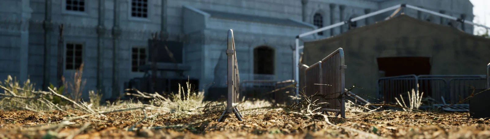 Navigating the Alpha: Rooted's Roadmap Unveiled