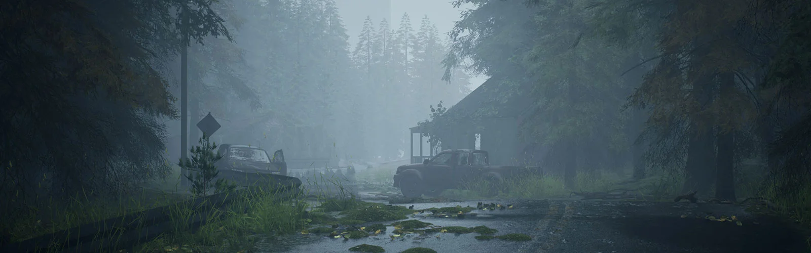 Latest Updates from Rooted